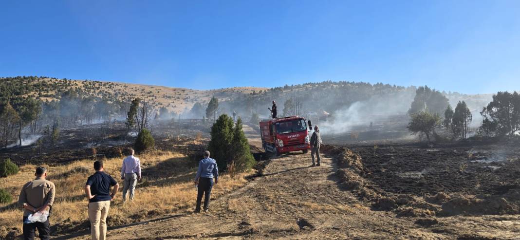 Konya’da piknikçi ateşi ormanı yaktı 4